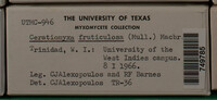Image Associated With the Occurence
